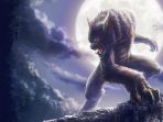werewolf_20171224_110447.jpg