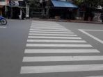zebra-cross_20171102_132824.jpg