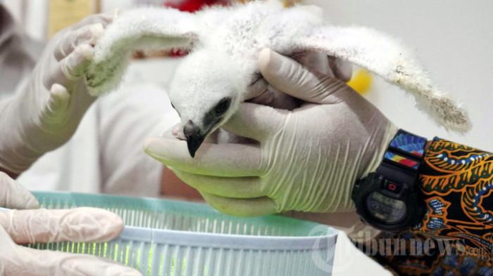 5 November Memperingati Hari Apa, Ada 2 Momen Penting Ini