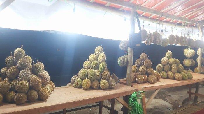 Rekomendasi Lapak Pedagang Duren Jatohan Enak di Kota Serang Banten: Ini Lokasinya, Harga Bersahabat