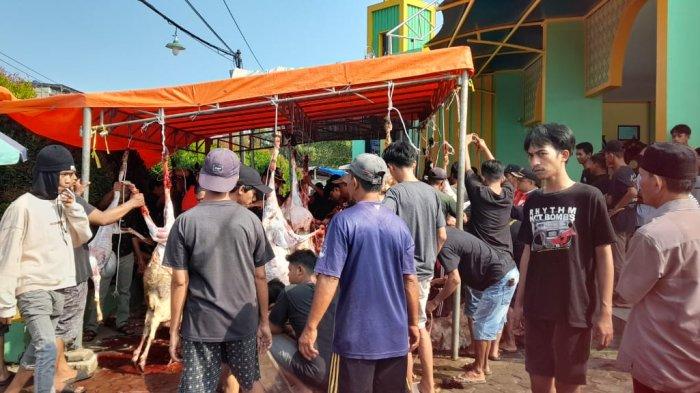 Antusias Nonton Pemotongan Hewan kurban, Warga Kota Serang Ramaikan Masjid Uswatun Hasanah