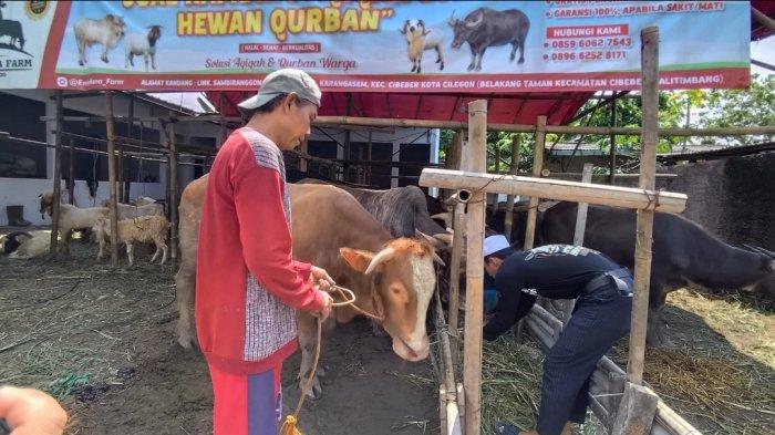 Syarat Orang yang Bisa Berkurban di Hari Raya Idul Adha 2024, Perhatikan 3 Hal Ini