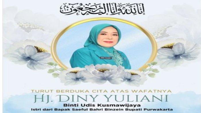 Profil Istri Bupati Purwakarta, Dini Yuliani, Meninggal Dunia Hari Ini karena Sakit