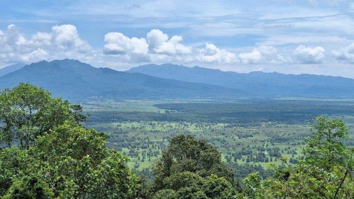 Pemandangan di Penenjoan Rawa Dano.