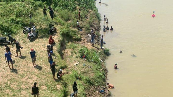 Fenomena Ikan Naik ke Permukaan di Kali Ciujung Serang, Ini Penampakannya