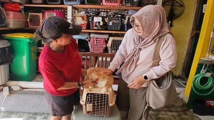 PENITIPAN-Owner Gizmo Rescue, Hesthi Desilawati (kiri) dan pemilik kucing, Silvy (kanan), saat menitipkan kucing peliharaan di shelter kucing Gizmo Rescue, yang berada di Kelurahan Sawah Baru, Kecamatan Ciputat, Kota Tangerang Selatan, Banten, pada Sabtu (14/3/2026).
