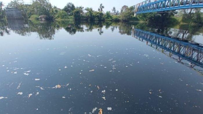 Hasil Uji Lab Sungai Ciujung Keluar, DLHK Banten Ungkap Hasilnya