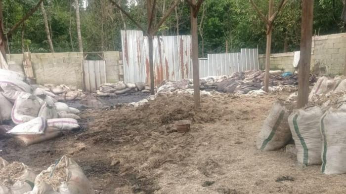 DLH Lebak memastikan akan turun ke lapangan untuk mengecek bau bangkai ayam yang diduga berasal dari pabrik pengolahan ayam di Kampung Cibuntu, Desa Sindangmulya, Kecamatan Maja, Kabupaten Lebak