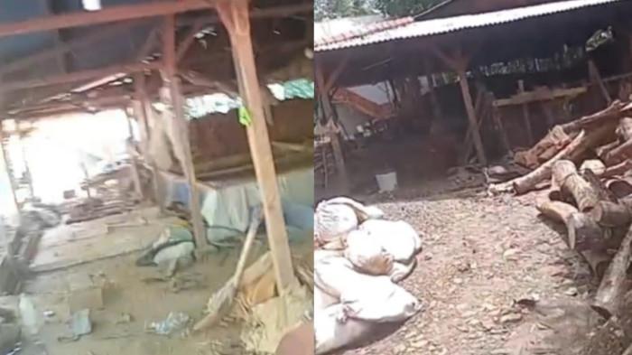 Guru SD di Pandeglang Hampir Kuasai Lahan Pengelolaan Tambang Emas Ilegal, Berlangsung Sejak 2019