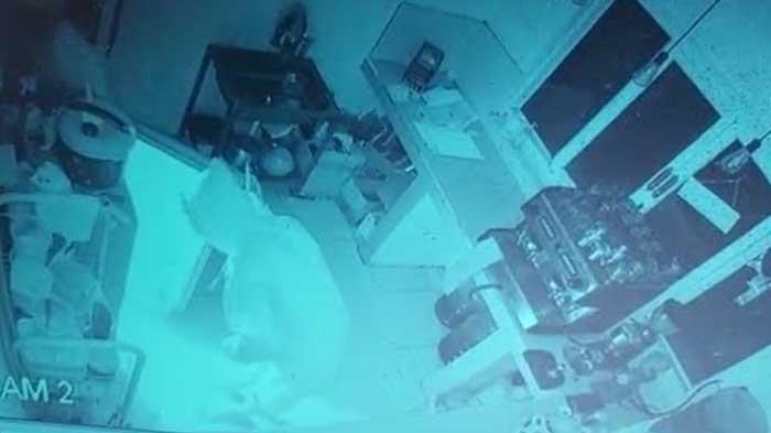 Terekam CCTV, Pencuri di Kafe Kediri Sempat Makan Saat Beraksi, Kini Videonya Viral di Medsos