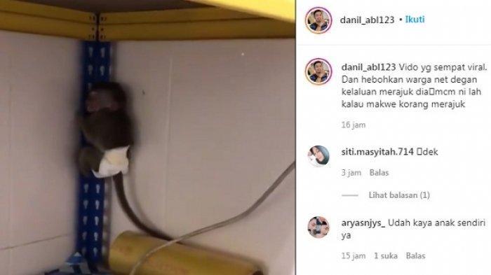 VIRAL, Anak Monyet 'Ngambek' Ditinggal Pemiliknya Bekerja ke Luar Kota