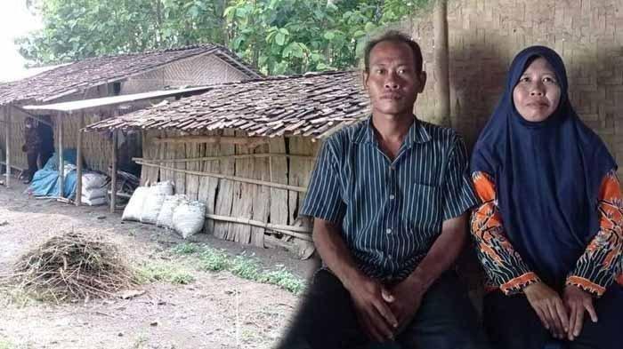 Kisah Guru Honorer di Ngawi Tinggal Menyatu dengan Kandang Kambing, Gaji Cuma Rp 350 Ribu