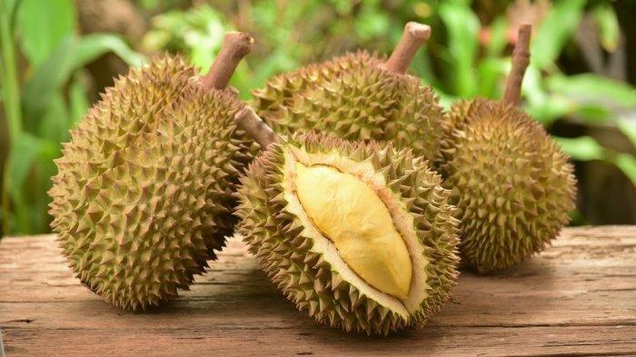 Siap-siap, Pemprov Banten Bakal Bagikan 1.000 Durian Gratis untuk Masyarakat, Catat Tanggalnya!