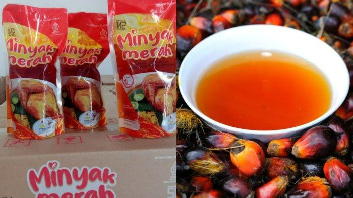 Intip Kekurangan dan Kelebihan Minyak Makan Merah dengan Minyak Goreng Biasa