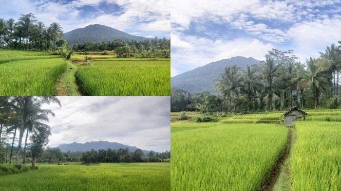 Indahnya Alam Pandeglang Banten, Banyak Tempat Wisata, Tak Kalah dengan Puncak Bogor atau Ubud Bali!
