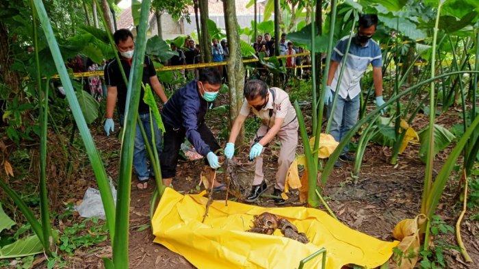 Kerangka Manusia Yang Gegerkan Warga Serang Berjenis Kelamin Laki-laki, Berikut Ciri-cirinya