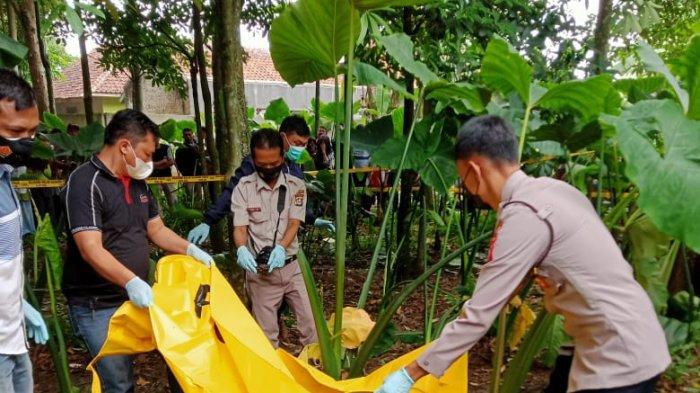 Warga Kampung Ciburuy Temukan Tengkorak saat Bersihkan Kebun, Bergegas Pulang Bikin Merinding