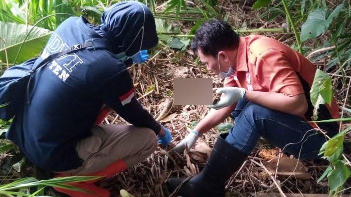 Warga Geger Temukan Tengkorak Manusia di Kebun Karet, Ada Sepeda Motor Misterius di TKP