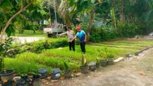 Aiptu-Dedi-H-Senantiasa-Ajak-Warga-Manfaatkan-Lahan-Kosong-untuk-Ketahanan-Pangan.jpg