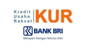 BRI-KUR-di-tahun-2025.jpg