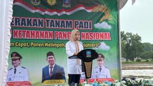 Bupati-Serang-Ratu-Rachmatuzakiyah-mengataka.jpg