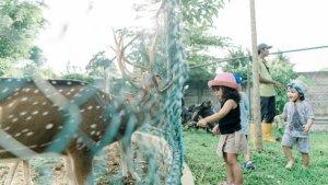Foto-Dokumentasi-Mutiara-Carita-Cottages.jpg