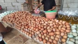 Harga-telur-harga-telor.jpg