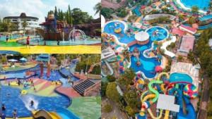 KWW-Ocean-Park-1.jpg