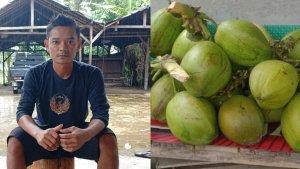 Kelapa-di-banten-meroket.jpg