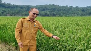 Kepala-Dinas-Ketahanan-Pangan-dan-Pertanian-Kabupaten-Serang-Suhardjo-asdadsa.jpg