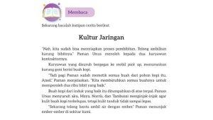 Kultur-Jaringan.jpg