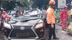 Mobil-Toyota-Lexus-hitam-ringsek-tertimpa-pohon.jpg