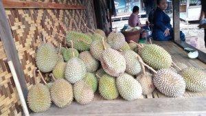 Musim-Durian-di-Baduy.jpg