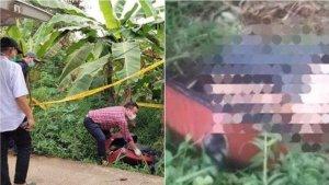 Sesosok-mayat-pria-korban-mutilasi-tanpa-busana-ditemukan-dalam-koper-di-pinggir-jalan.jpg