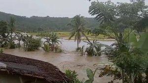 sawah-yang-terendam-akibat-luapan-sungai-ciujung-jumat-1822022.jpg