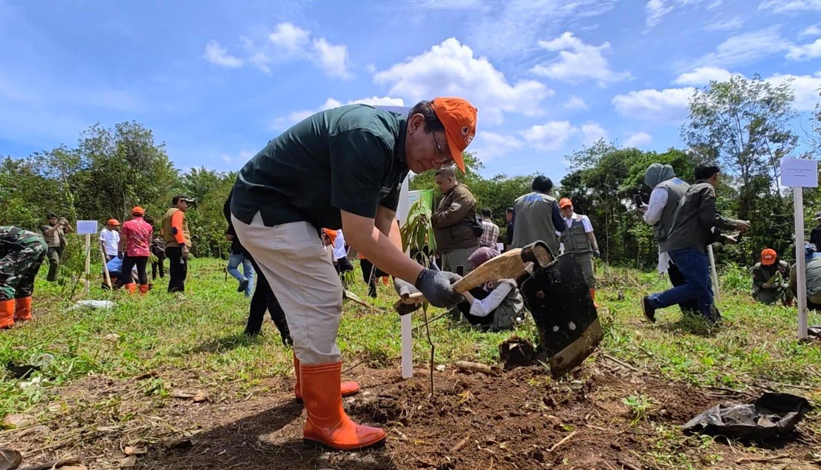 BNPB-menanam-14500-bibit-pohon-di.jpg