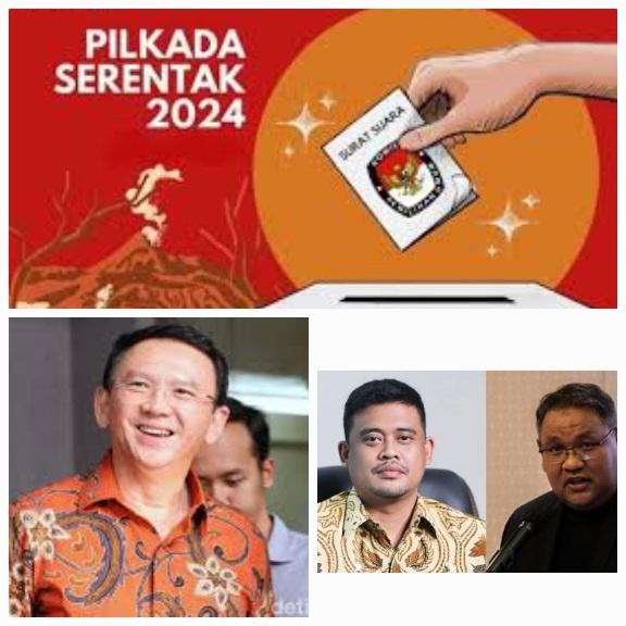 Demokrat-tunjuk-Teguh-Santosa-jadi-wakil-bobby.jpg