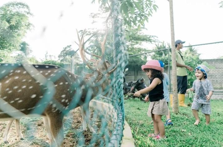 Libur Panjang Isra Miraj dan Imlek, Berikut Rekomendasi Tempat Wisata di Kawasan Carita