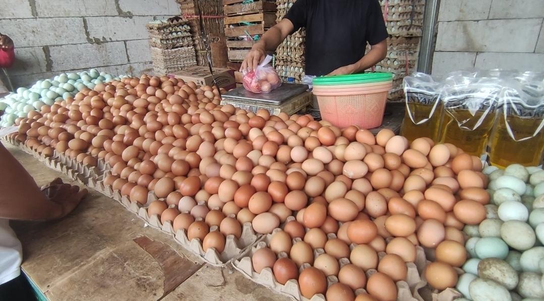 Harga-telur-harga-telor.jpg