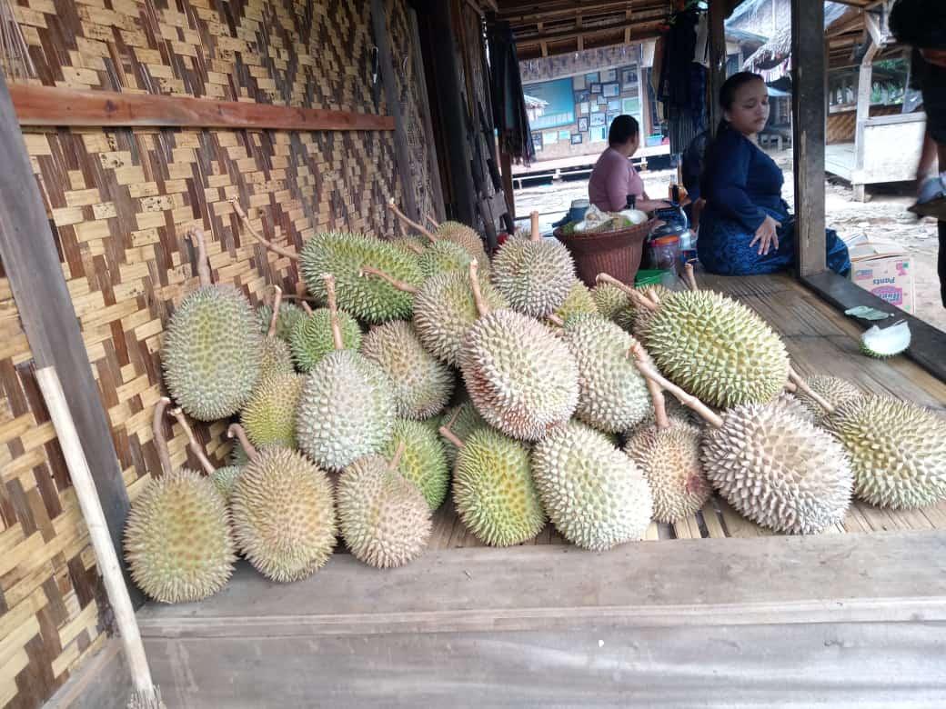 Musim-Durian-di-Baduy.jpg