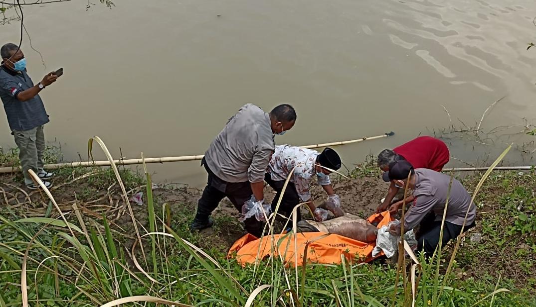 Sedang Enak Mancing, Warga Lebak Kaget Temukan Mayat Laki-laki di Sungai Ciujung