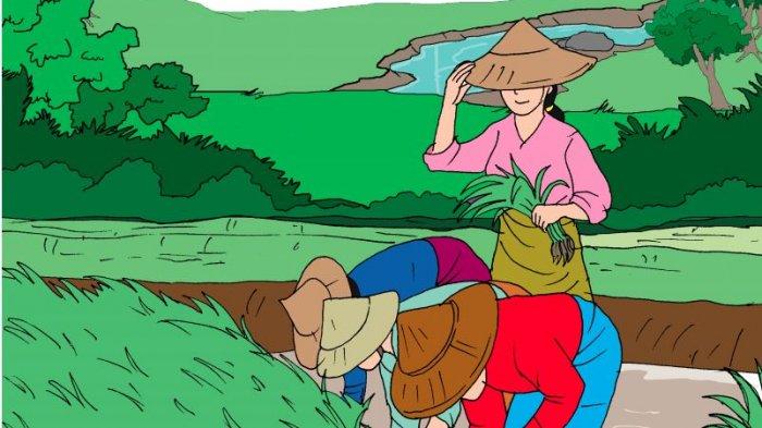 dapatkah-kamu-membedakan-air-laut-dengan-air-pegunungan.jpg