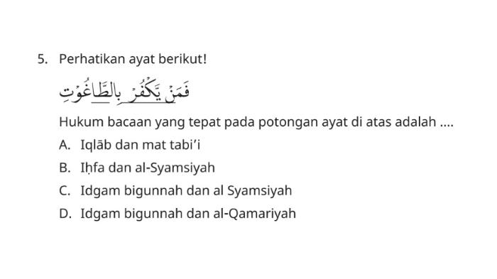 Katta tabiiy etuk kokraklar