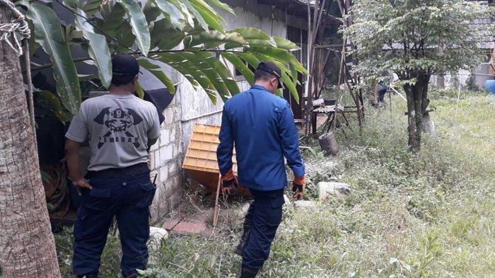 Bawa Perlengkapan Ini, Petugas Damkar Kembali Buru Anjing Liar yang Gigit Anak di Pelawad Serang