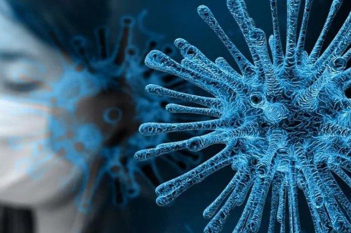 ilustrasi-terinfeksi-virus-corona.jpg