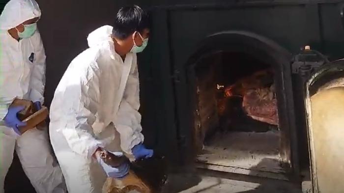 memusnahkan-29-ton-daging-babi-Ilegal.jpg
