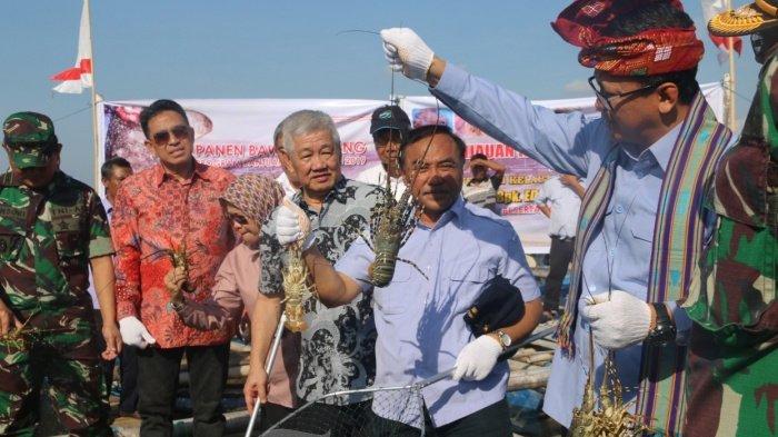 Kisah Menteri Edhy Prabowo, Dari Tukang Pijat Prabowo hingga Terjepit Uang Lobster