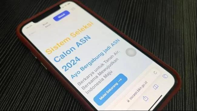 CEK Sekarang, Ini 21 Link Pengumuman Seleksi Administrasi CPNS 2024