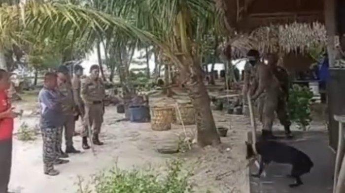Pecinta Hewan Kecam & Somasi Oknum Satpol PP di Aceh yang Siksa Anjing Gunakan Kayu hingga Tewas