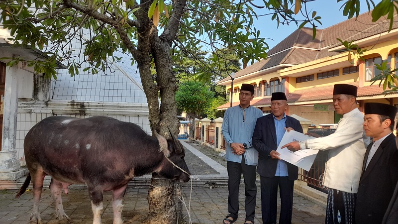 Pemkot Serang Distribusi 76 Hewan Kurban ke Pondok Pesantren dan Majelis Taklim